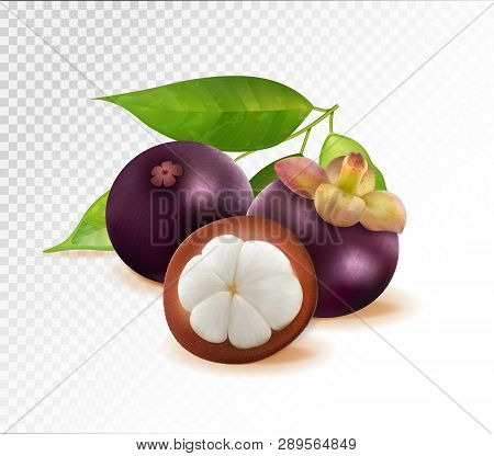 Mangosteen Isolated On Transparent Background. Two Whole Queen Fruits And One Half As Package Design