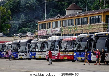 Nami, South Korea - Feb 6, 2015. Buses Bring Tourists To The Nami Island. Nami Is Korea Most Globall