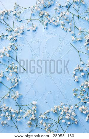 Frame  From Tender  White Gypsofila  Flowers On Blue Textured Background. Top View. Flat Lay. Place 