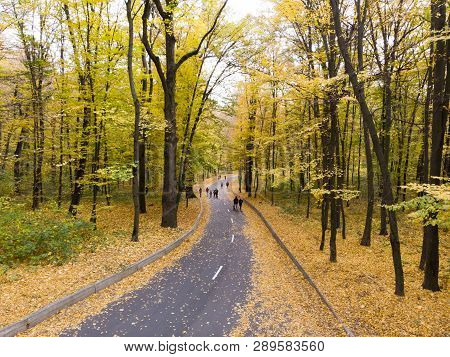 Kiev Park Feofaniya Autumn From The Air