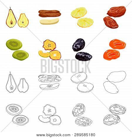 Vector Illustration Of Food  And Raw  Sign. Set Of Food  And Nature   Stock Vector Illustration.
