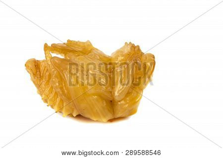 Larva Of Dung Beetle Isolate On White
