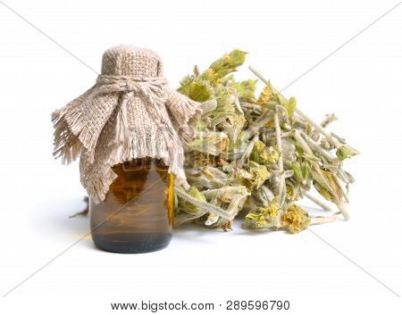 Sideritis, Also Known As Ironwort, Mountain Tea And Shepherds Tea. Isolated On White