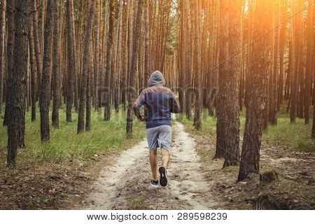 Man In Hoodie Has Workout In A Pine Forest. Concept Of Morning Matins Jogging In Outdoor