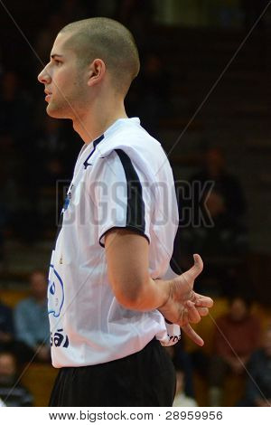 KAPOSVAR, Ungarn - 15 januar: Balint Magyar i aktion på en ungarsk volleyball nationale mestre