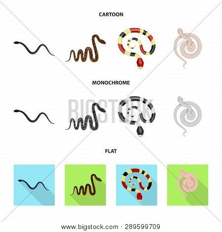 Vector Design Of Mammal And Danger Sign. Set Of Mammal And Medicine Stock Vector Illustration.