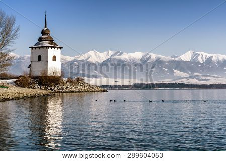 Birds On Lake Liptovska Mara And Hill Baranec - West Tatras Mountains At Backgrdound, Slovakia
