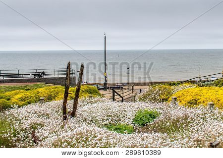 A View Of Hunstanton Beach From The Adjacent Garden