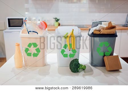 Waste Sorting At Home. Protect The Environment. Colorful Garbage Bins With Recycling Icon Full Of Pl