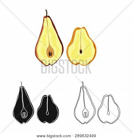 Isolated Object Of Pear And Dry Icon. Collection Of Pear And Organic Stock Vector Illustration.