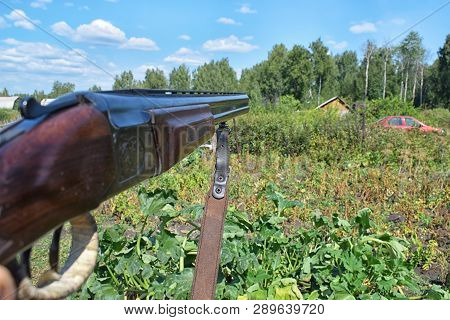 Aiming By Rifle To Forest At Garden With Green Background