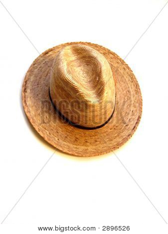 Olkihattu