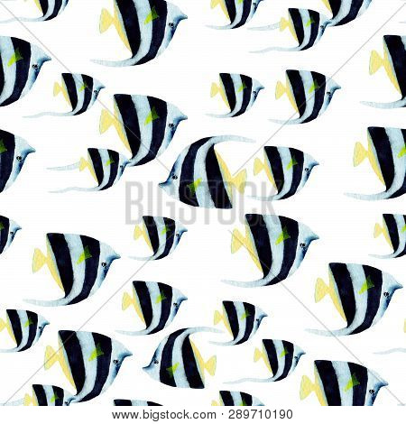 Hand drawn seamless pattern in watercolor sea world natural element. Fish on white background