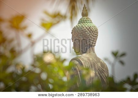 The Large Buddha Image Taken Through The Leaves