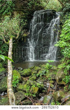 Horseshoe Falls At The Catlins, South Island Of New Zealand