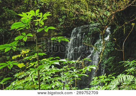 Matai Falls At The Catlins, South Island Of New Zealand