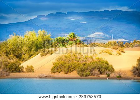 View Of Lake And Oasis On Mountain Background Near Maspalomas Dunes. Nature Bird Reserve La Charca, 