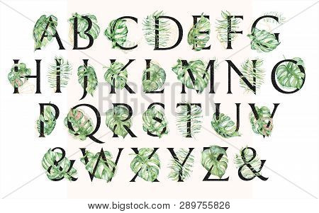 Watercolor Alphabet Black Tropical Set Of Leeters With Hand Drawn Green Leaves Illustrations