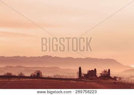 Foggy Winter Sunrise In The Collio Friulano, Italy