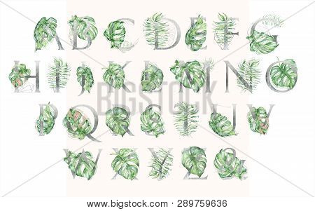 Watercolor Alphabet Silver Tropical Set Of Leeters With Hand Drawn Green Leaves Illustrations