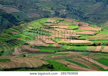 Beautiful Step Cultivation In Poombarai