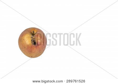 Boring Trace Of A Codling Moth Cydia Pomonella, In A Wormy Apple. On White Background. Place To Writ