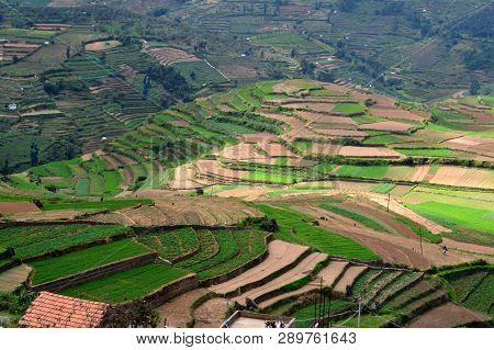 Beautiful Step Cultivation In Poombarai Village Near Kodaikanal