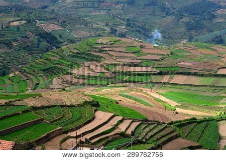 Beautiful Step Cultivation In Poombarai