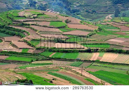 Princess Of Hill Station Poombarai View