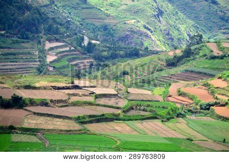 Green Terraced Fields In Poombarai