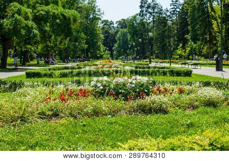 Flowers In A Public Park
