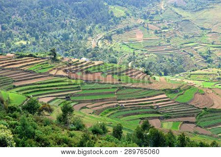 Poombarai Village And Terraced Farming In Kodaikanal