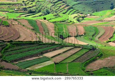 Poombarai Village And Terraced Farming In Kodaikanal