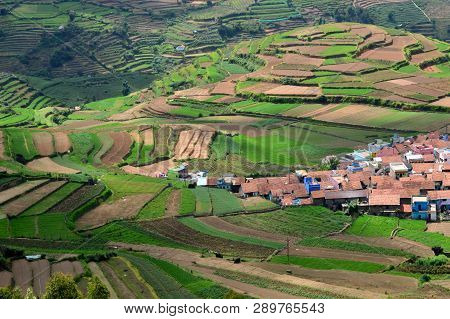 Poombarai Village And Terraced Farming In Kodaikanal