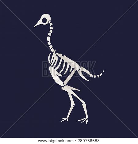 White Skeleton And Bones Of A Caudipteryx In Flat Cartoon Style.