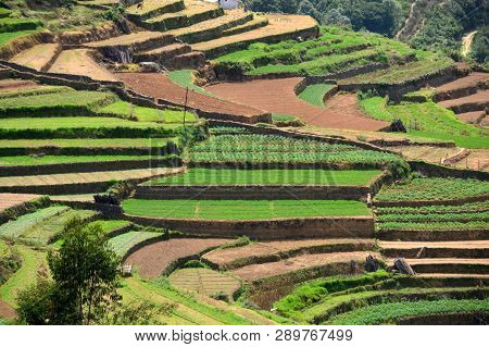 Poombarai Village And Terraced Farming In Kodaikanal