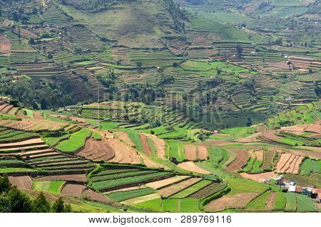 Poombarai Village And Terraced Farming In Kodaikanal