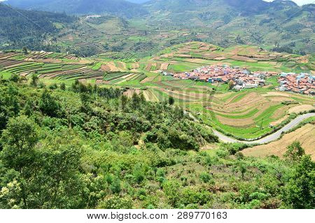 Poombarai Village And Terraced Farming In Kodaikanal
