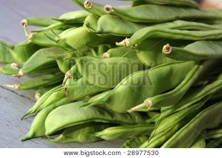 Flat Bean