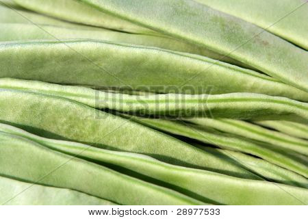 Flat Bean