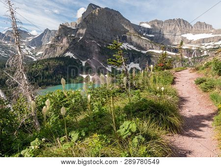 Beargrass And Trail To Grinnell Glacier On Clear Summer Day