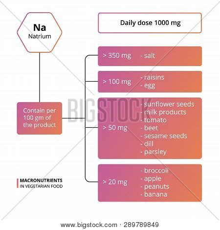 Vector Scheme Of The Nutrients, Vitamins And Minerals. Number Of Macronutrients In Vegetarian Food. 