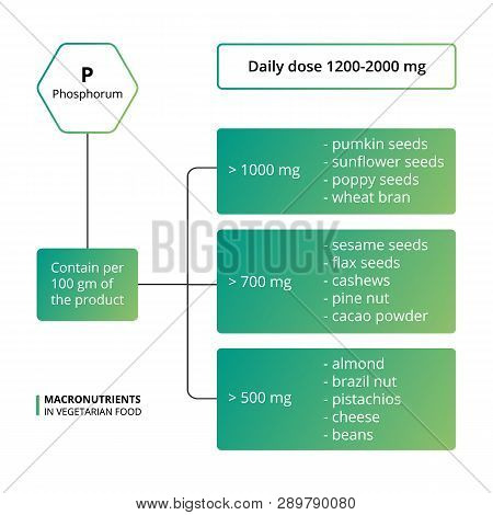Vector Scheme Of The Nutrients, Vitamins And Minerals. Number Of Macronutrients In Vegetarian Food. 