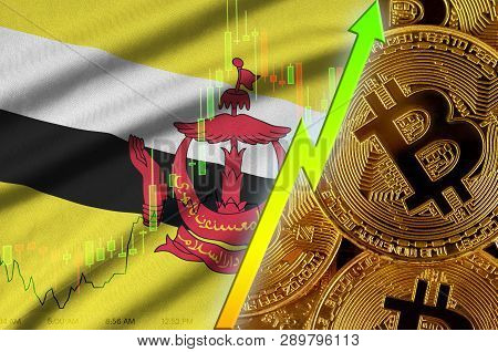 Brunei Darussalam Flag And Cryptocurrency Growing Trend With Many Golden Bitcoins