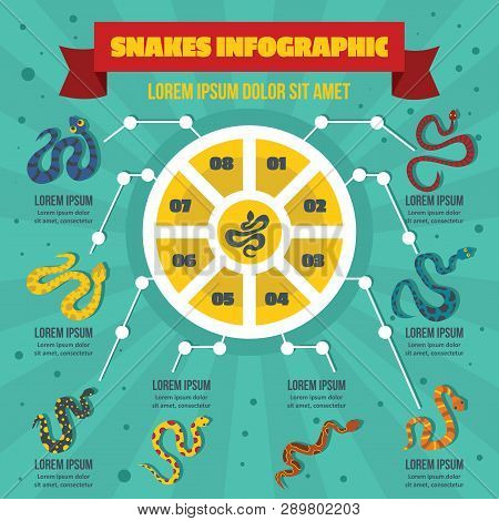 Snake Infographic Banner Concept. Flat Illustration Of Snake Infographic Poster Concept For Web