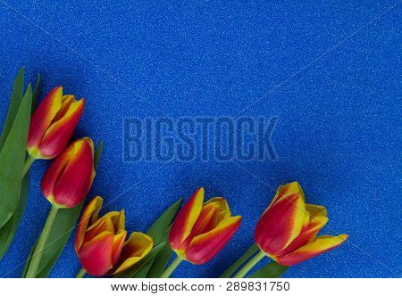 Red And Yellow Tulips On Blue Glitter Background With Copy Space