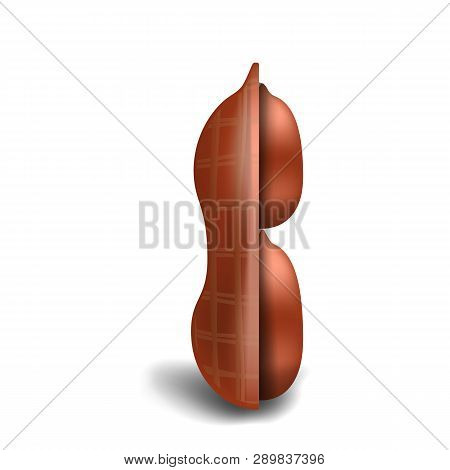 Half Peanut In Shell Icon. Realistic Illustration Of Half Peanut In Shell Icon For Web Design