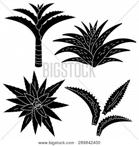 Aloe Vera Icon Set. Simple Set Of Aloe Vera Icons For Web Design On White Background