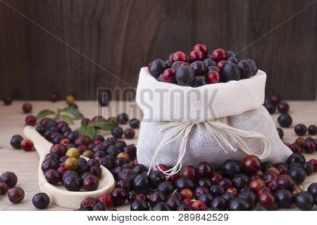 Fruit Of Wild Agaz (vaccinium Meridionale)