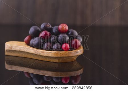 Fruit Of Wild Agaz (vaccinium Meridionale)